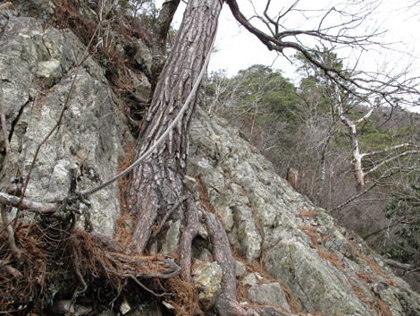 20140102hike (110)